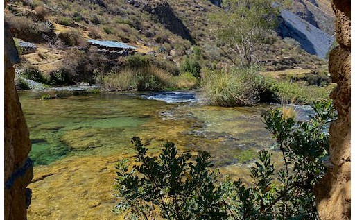 1620左转右转区别（左转右转哪个优先级高）